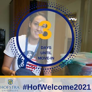 Image post by @hofstrau on Instagram