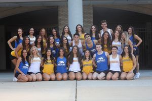 Image post by @hofstradanceteam on Instagram