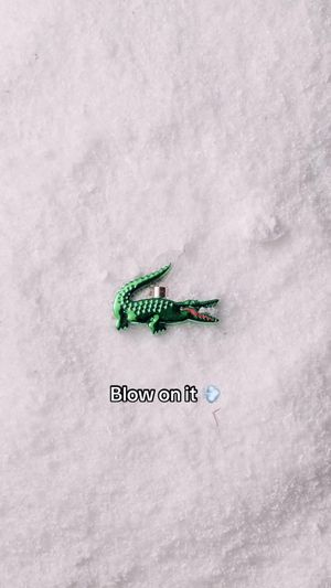 Video post by @lacoste on TikTok