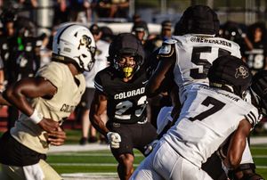 Image post by @buffstampededotcom on Instagram