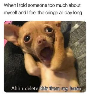 Image post by @the.virtual.bitch on Instagram