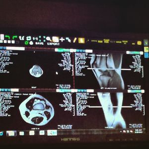 Image post by @frechisfetch on Instagram