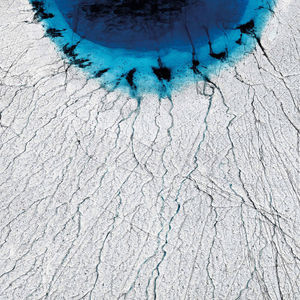 Image post by @phillipsauction on Instagram