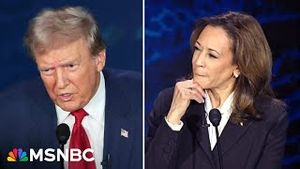 Video post by @msnbc on YouTube