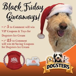 Image post by @dogstersicecream on Instagram