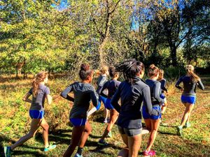 Image post by @hofstratrackxc on Instagram