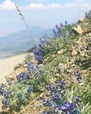 Image post by @centeredbydesign on Instagram