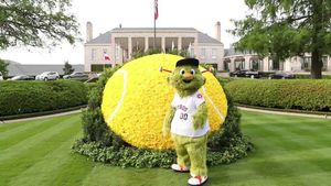 Video post by @mensclaycourt on Twitter