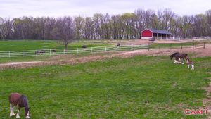 Image post by @WarmSpringsRanch on Facebook