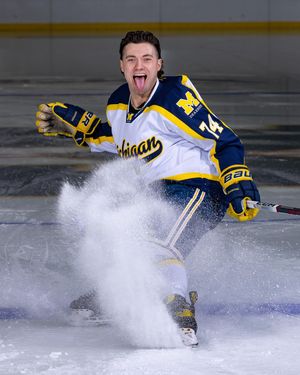 Image post by @hockeyhousepod on Instagram