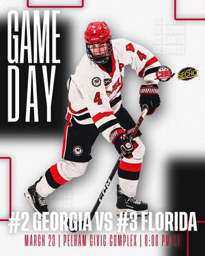Image post by @UGAHockey on Twitter/X