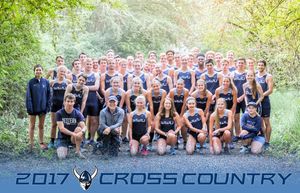 Image post by @wwutfxc on Instagram