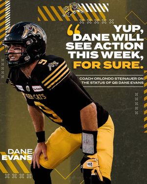 Image post by @hamiltontigercats on Instagram