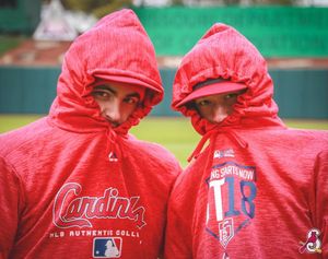 Image post by @springfield_cardinals on Instagram