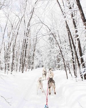 Image post by @themainemag on Instagram