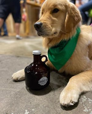 Image post by @navigationbrewingco on Instagram
