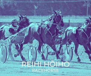 Image post by @NZHorseAmbulanceTrust on Facebook