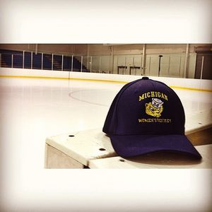 Image post by @umichwhockey on Instagram