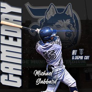 Image post by @duluthhuskies on Instagram