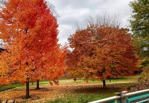 Image post by @vanderbiltu on Instagram