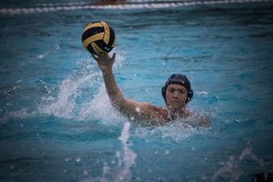 Image post by @beatlawstudio on Instagram