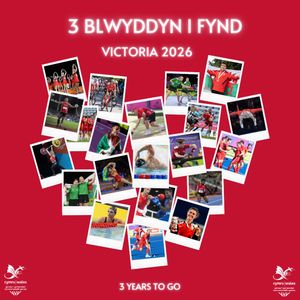Image post by @team_wales on Instagram