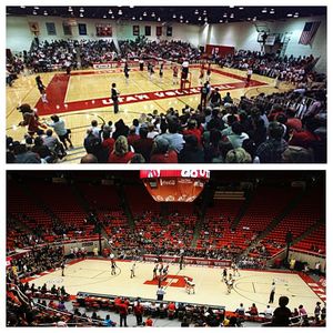 Image post by @utahvolleyball on Instagram