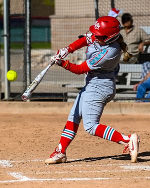 Image post by @bagthebandit on Instagram