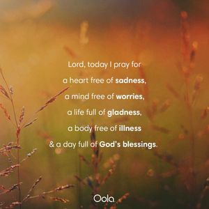 Image post by @oolalife on Instagram