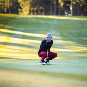 Image post by @elonmgolf on Instagram