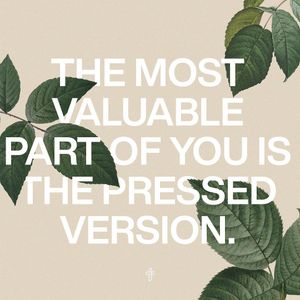 Image post by @wearetransformation on Instagram