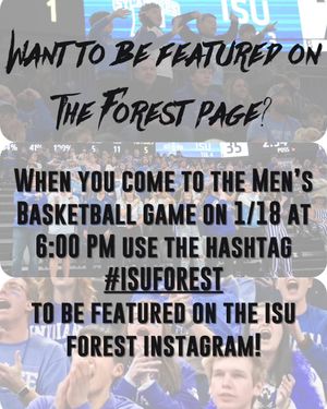 Image post by @isuforest on Instagram