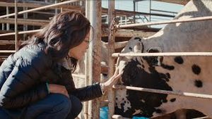 Video post by @pbr on YouTube