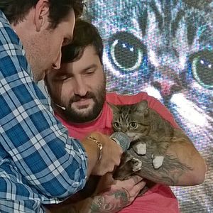 Image post by @animalplanet on Instagram