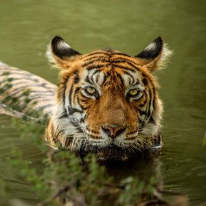 Image post by @discovery on Instagram