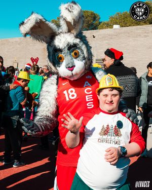 Image post by @lvaces on Instagram