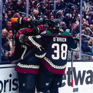 Image post by @arizonacoyotes on Instagram