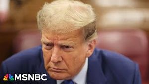 Video post by @msnbc on YouTube
