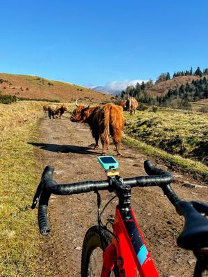 Image post by @VisitScotland on Twitter