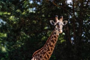 Image post by @chrishumphreyphoto on Instagram