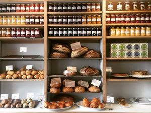 Image post by @alex_ander_salamander on Instagram