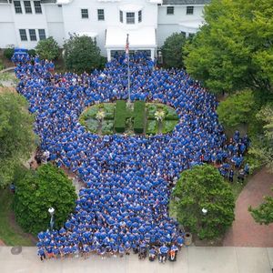 Image post by @hofstrau on Instagram