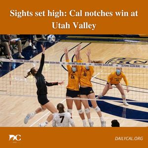 Image post by @dailycalsports on Instagram