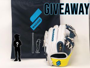 Image post by @mlb.mini on Instagram