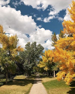 Image post by @cityofcalgary on Instagram