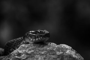 Image post by @jackportunephotography on Instagram