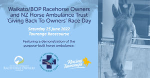 Image post by @NZHorseAmbulanceTrust on Facebook