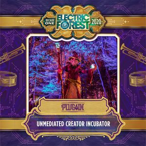 Image post by @electric_forest on Instagram