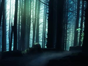 Image post by @jpotterphoto on Instagram