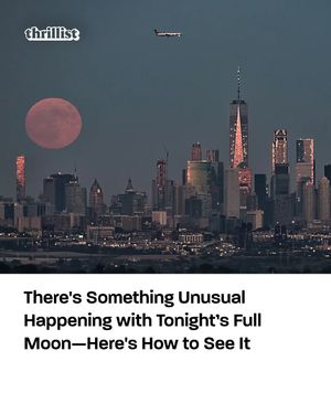 Image post by @thrillist on Instagram